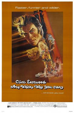 Any Which Way You Can (1980)