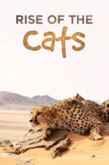 Big Cats: An Amazing Animal Family (2015)