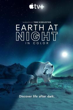 Earth at Night in Color (2020)