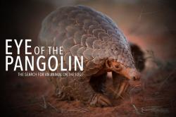 Eye of the Pangolin (2019)