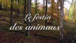 Feast of the Animals (2020)