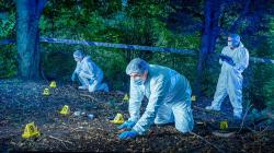 Forensics: Murder Scene (2024)