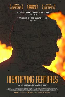Identifying Features (2021)