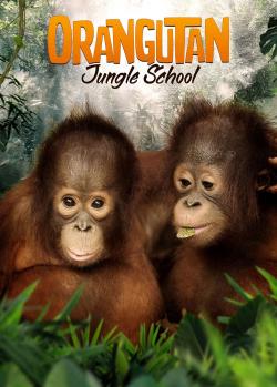Orangutan Jungle School (2019)