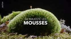 Sa Majesté les mousses (2023)