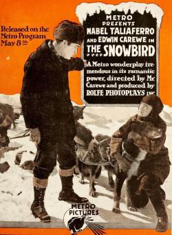 The Snowbird (1916)