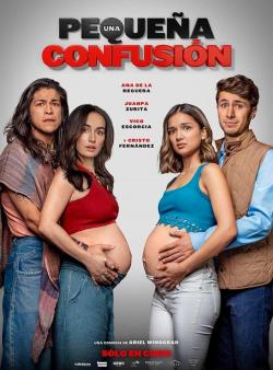 Una pequeña confusión (2024)