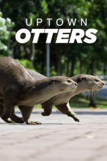 Uptown Otters (2022)
