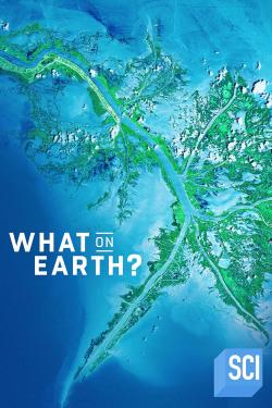 What on Earth? (2015)