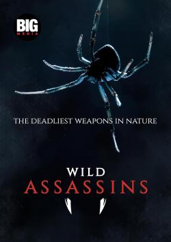 Wild Assassins (2023)